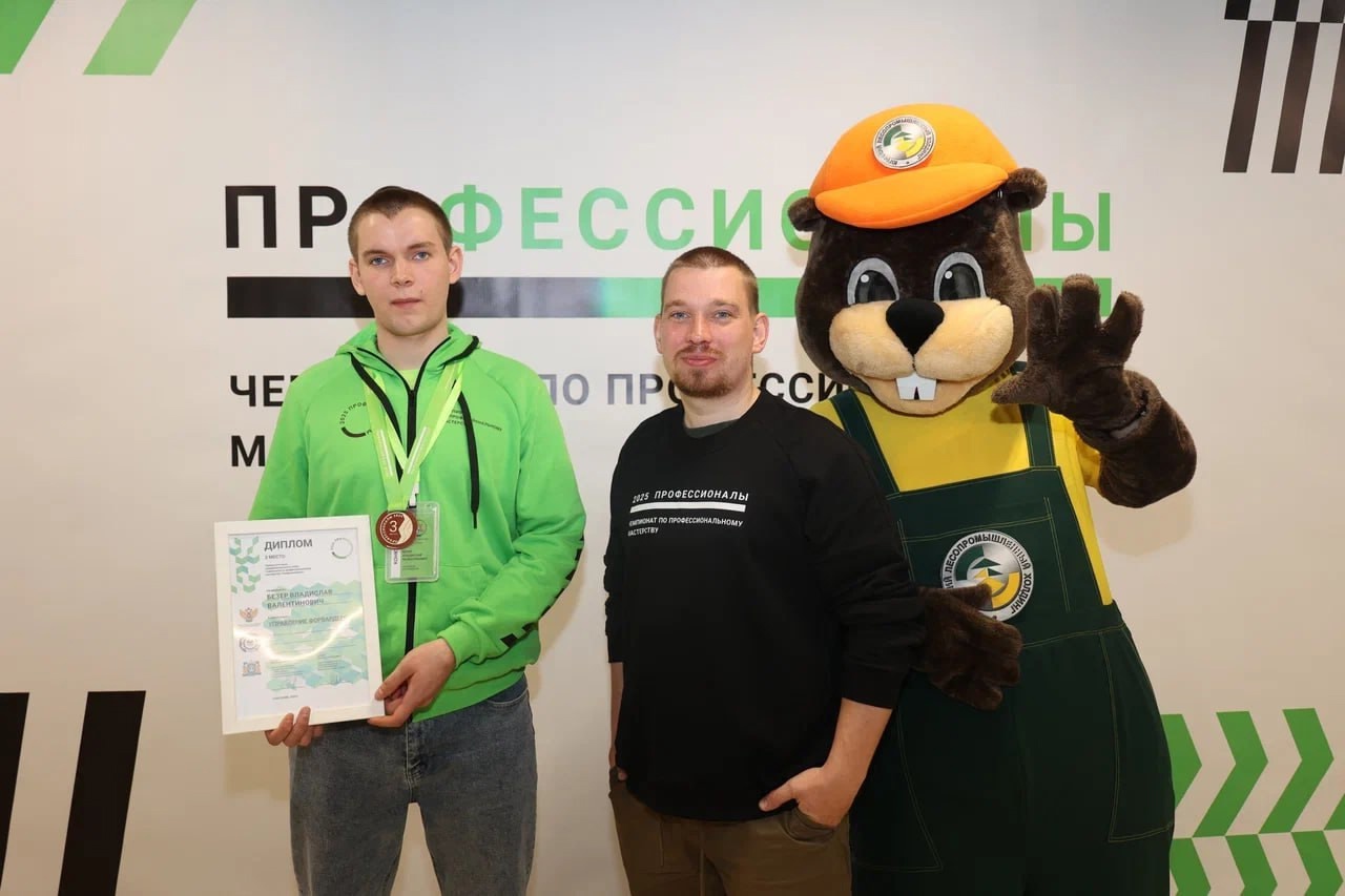 Профессионалы