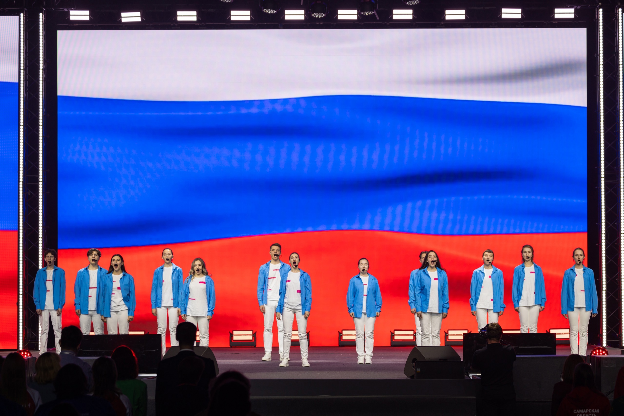 Профессионалы