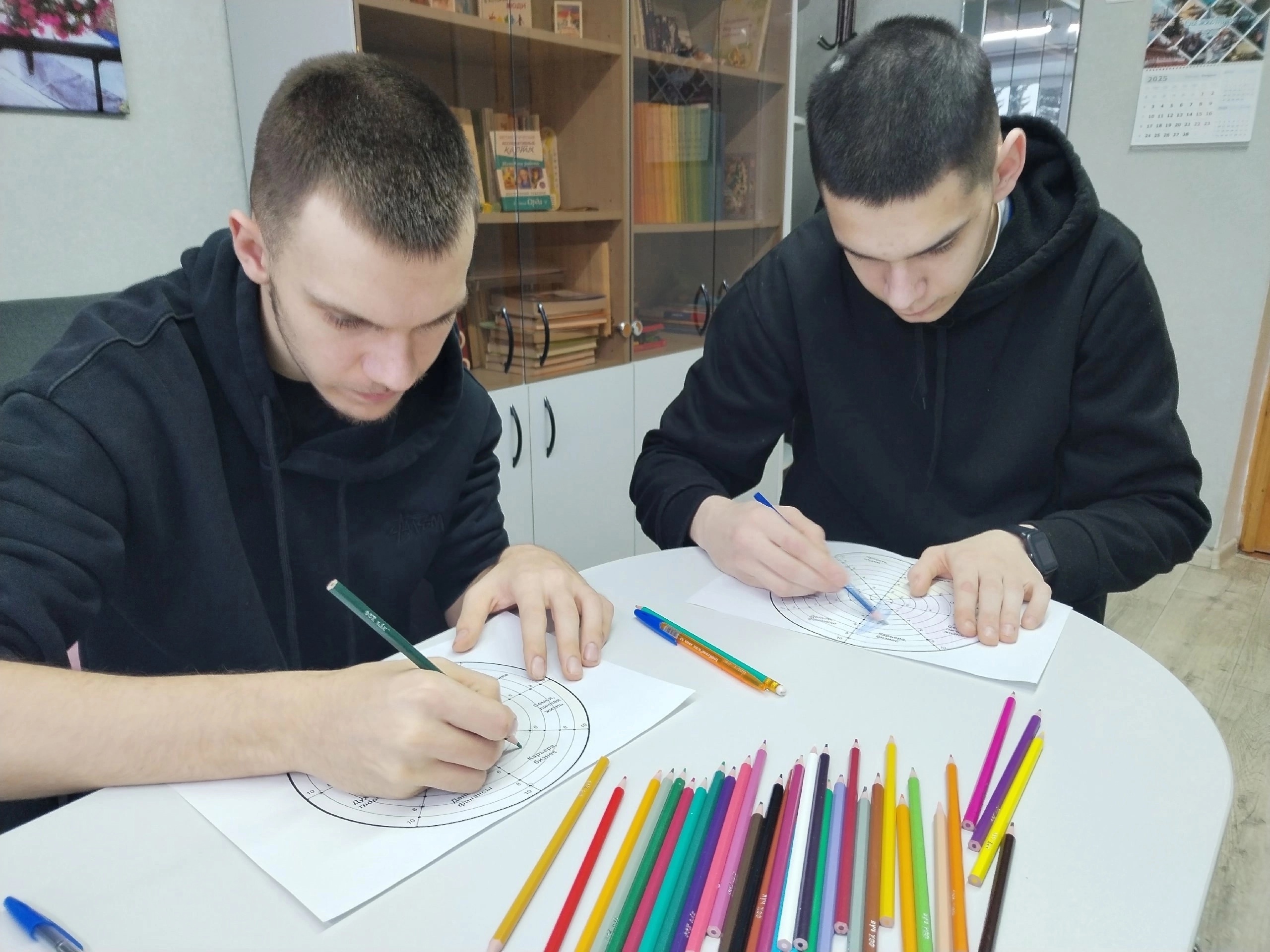 Профессионалы